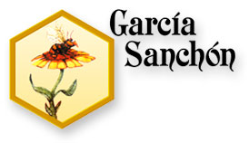 Logo García Sanchón